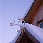 Nestun - Northern Lights With Sauna Дом отдыха