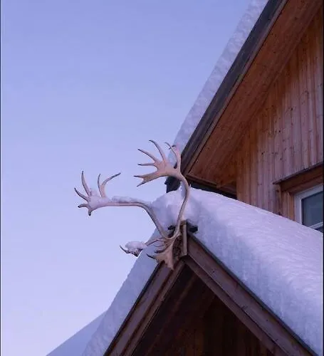 Nestun - Northern Lights With Sauna Dom wakacyjny