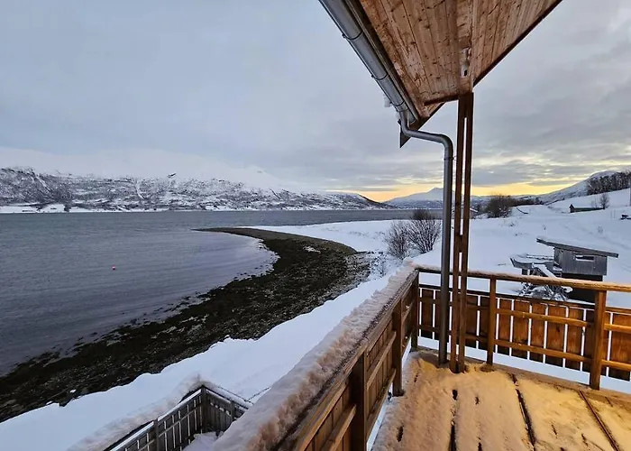 Nestun - Northern Lights With Sauna