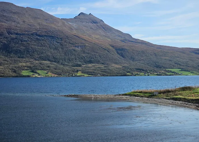 Nestun - Northern Lights With Sauna *