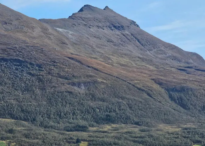 Nestun - Northern Lights With Sauna Selnes (Tromso)