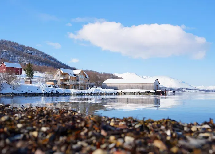 Nestun - Northern Lights With Sauna * Selnes (Tromso)