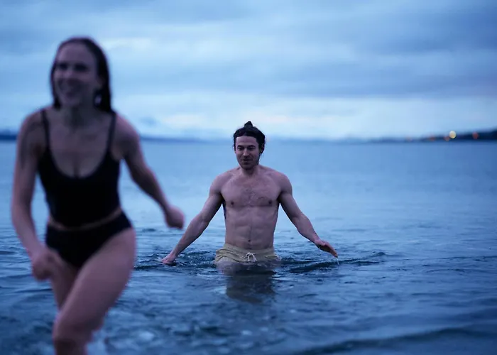 Nestun - Northern Lights With Sauna Selnes (Tromso)