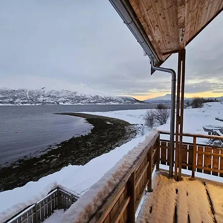 Nestun - Northern Lights With Sauna